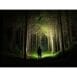 Olight Baton 4 Premium 1300 Lumen Flashlight - Black